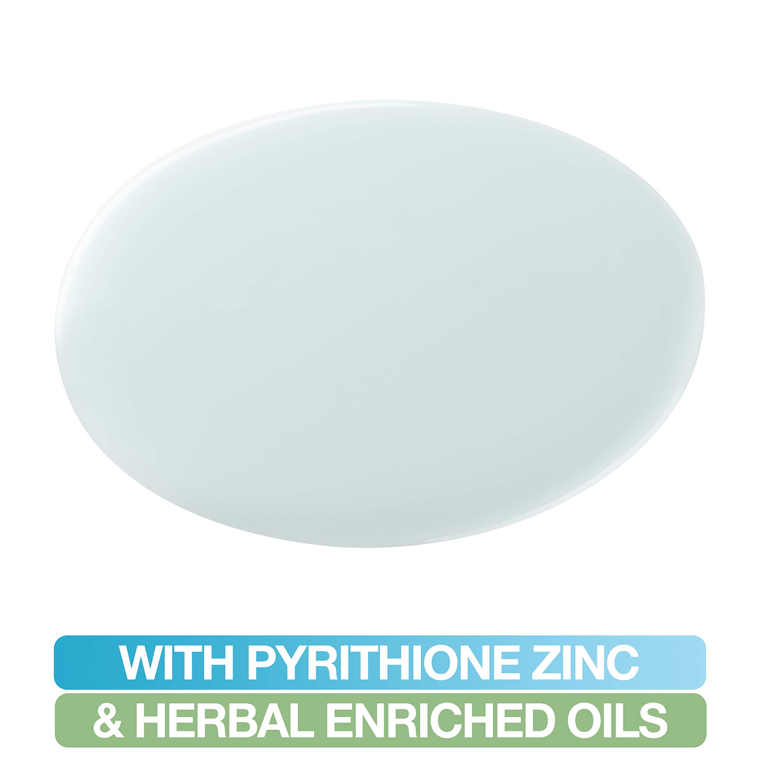 Mane N Tail Daily Control 2 In 1 Anti Dandruff Shampoo and Conditioner 12 oz - Thumbnail 3