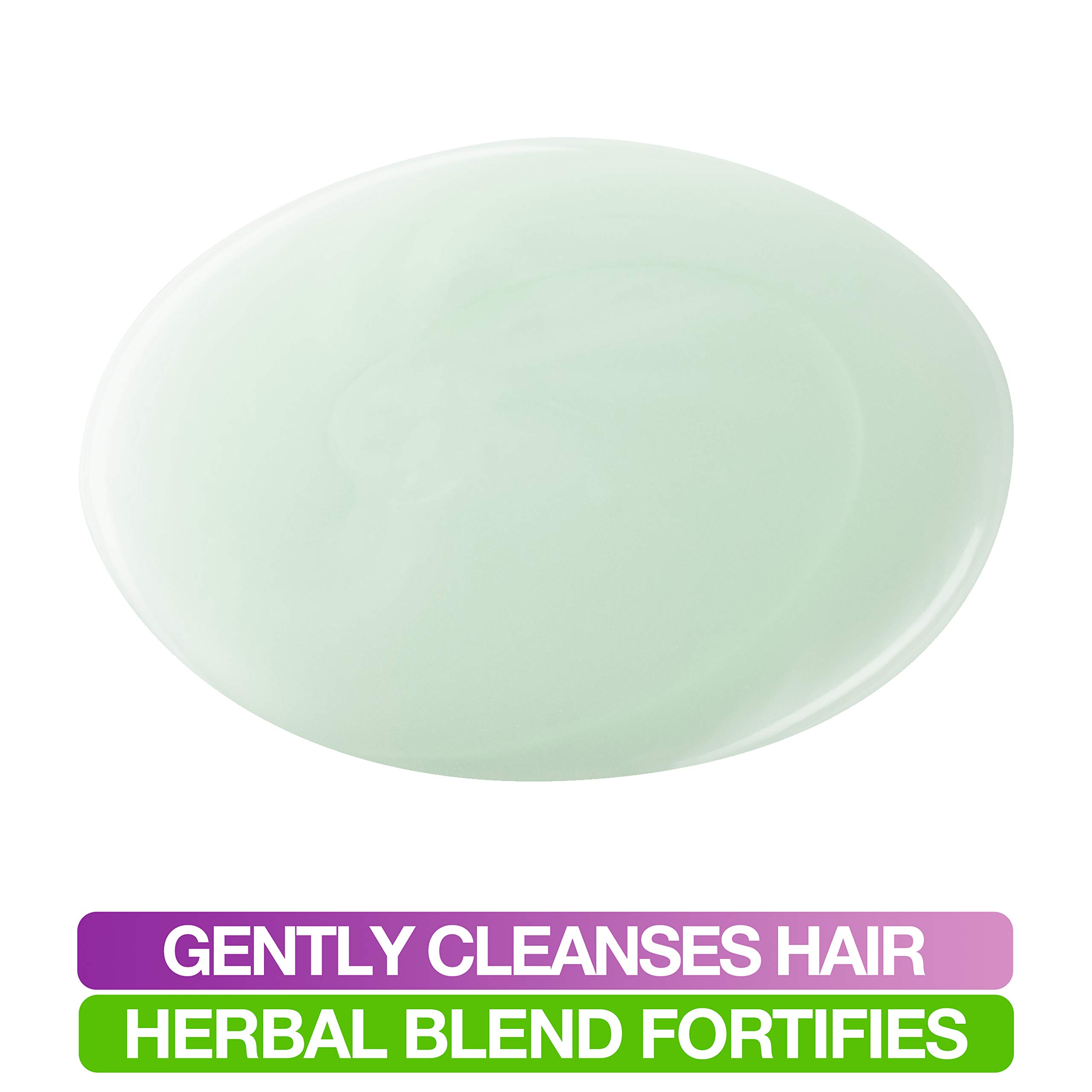 Mane N Tail Herbal Gro Shampoo 27.05 oz