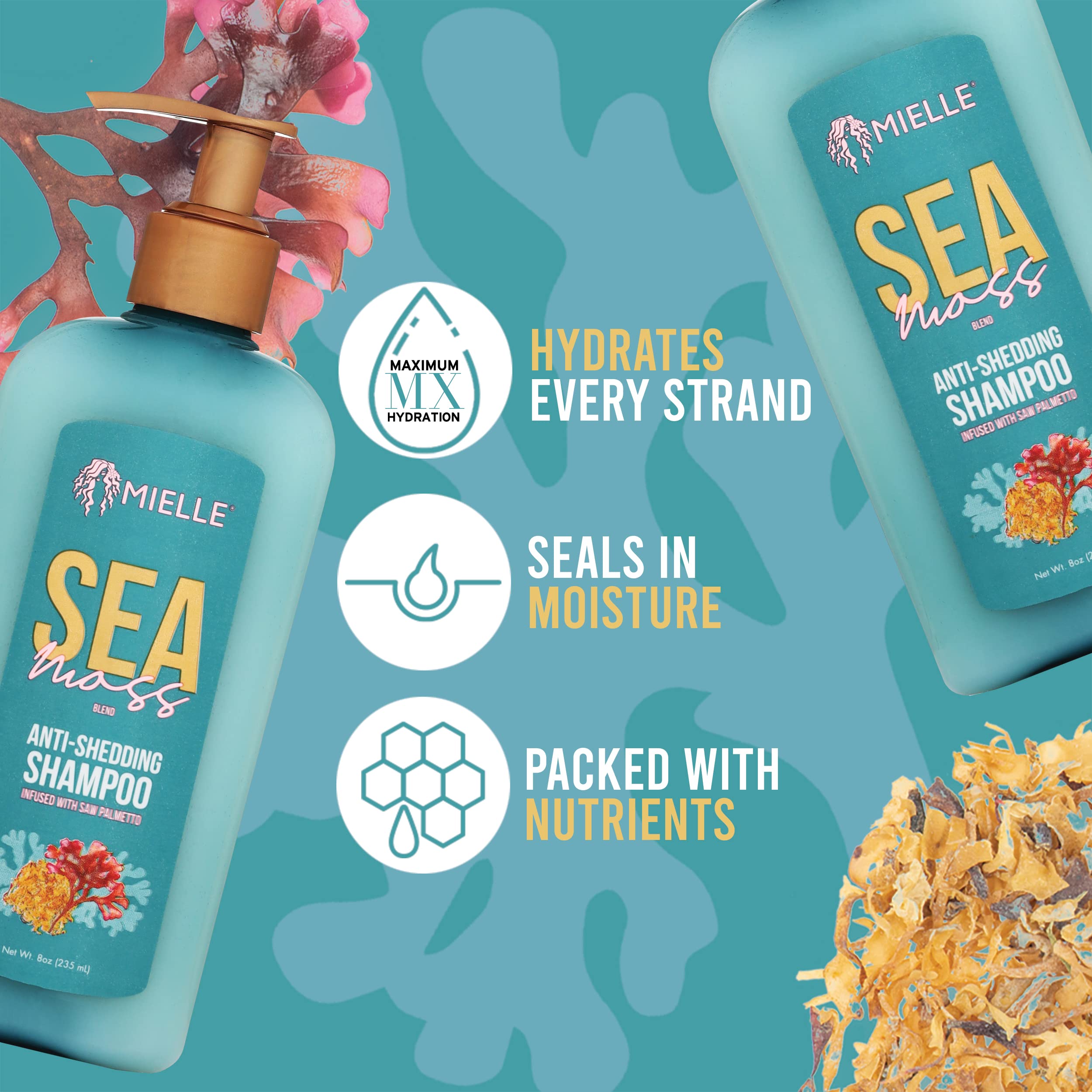 Mielle Organics Sea Moss Anti Shedding Hair Shampoo Hydrating Shampoo for Dry