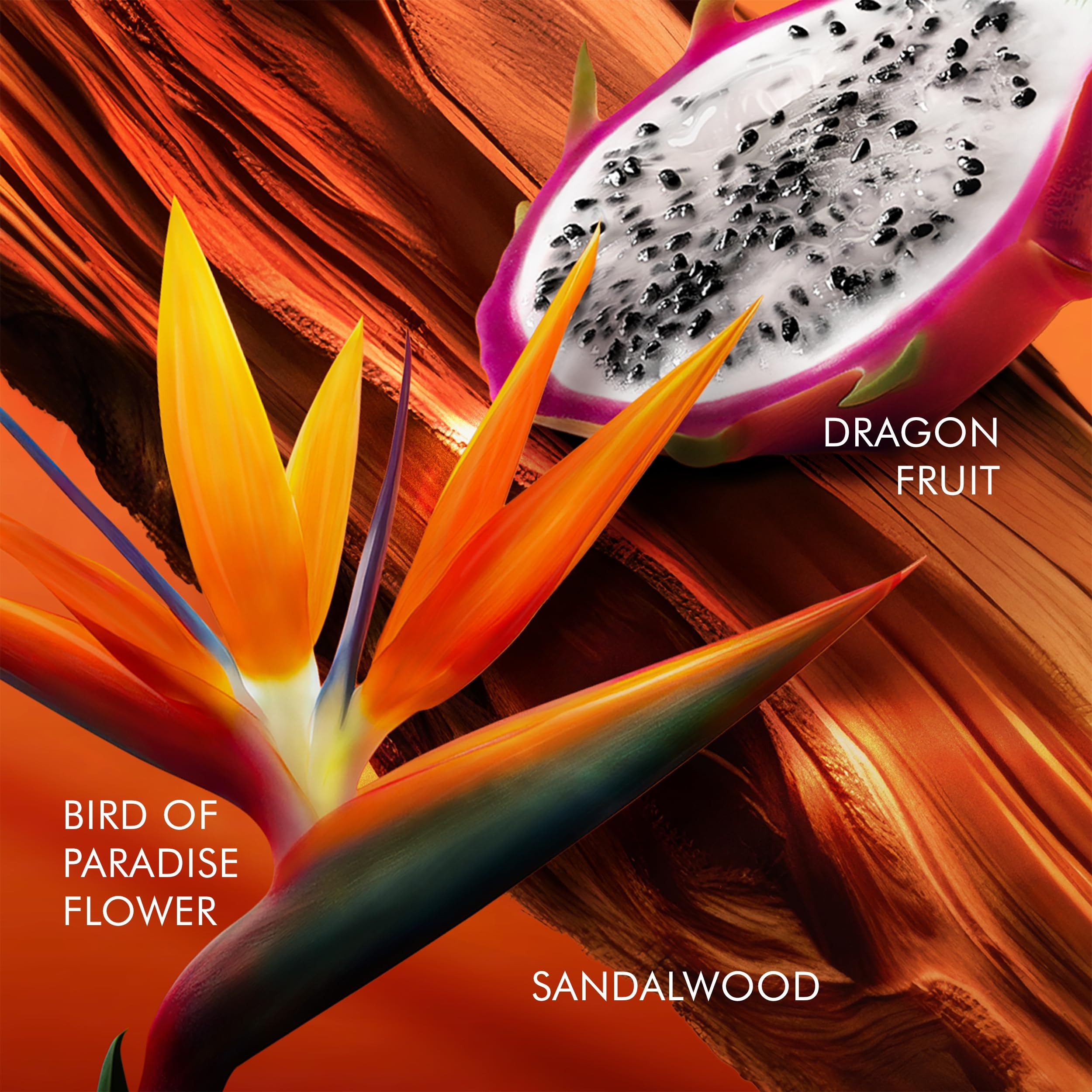 [Mini] Mini Escada Bali Paradise L Limited Edition Spain 3pcs Bybox EDT 10 ml - Thumbnail 3