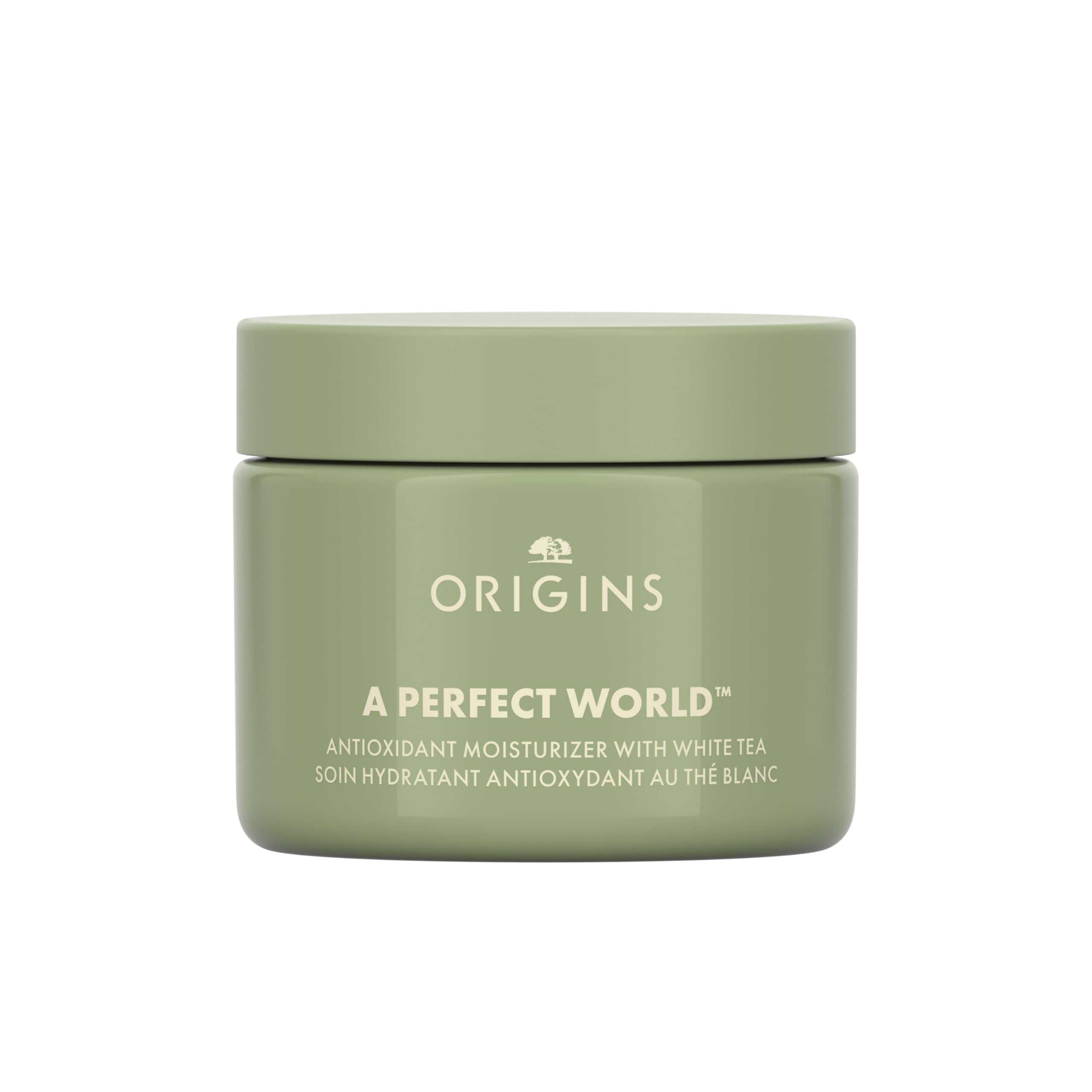 Origins A Perfect World Antioxidant Moisturizer | Keeps Skin Looking Youthful |