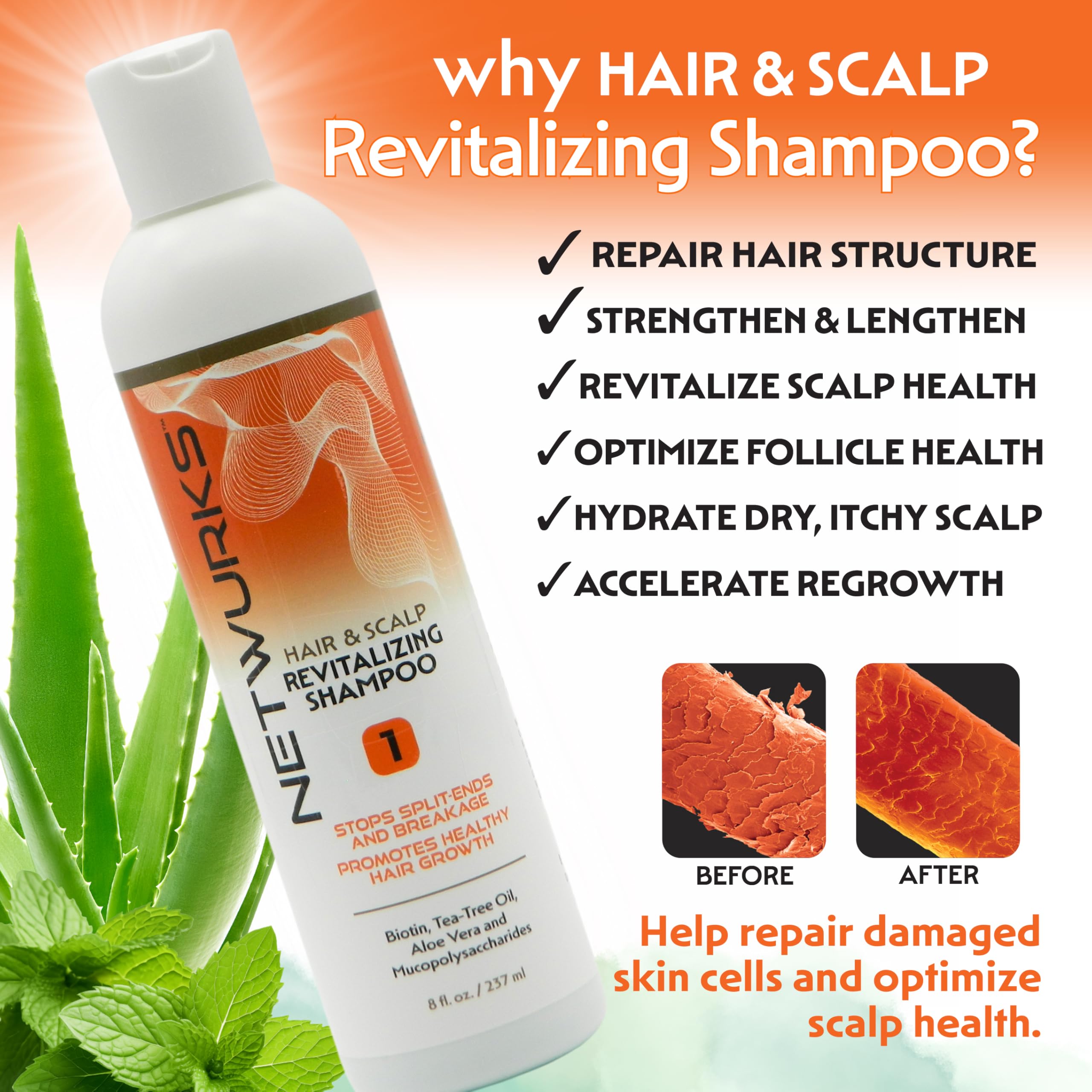 Netwurks Hair Scalp Revitalizing Shampoo | Helps Repair Damaged Split Ends - Thumbnail 2