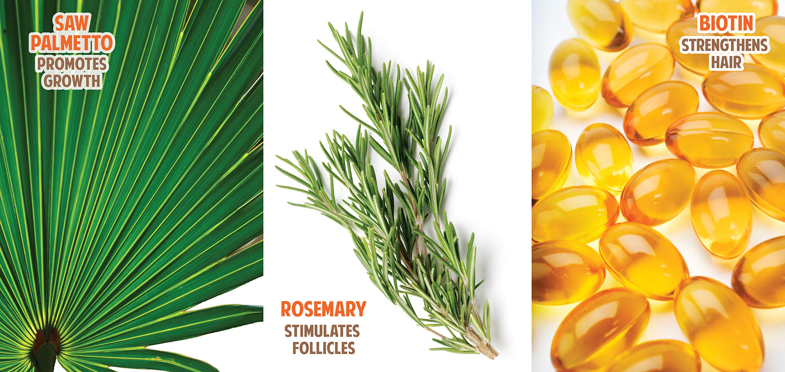 Organic Hair Growth Booster With Pro Vitamin B5 6 Fl Oz Dht Blocker Sulfate - Thumbnail 3