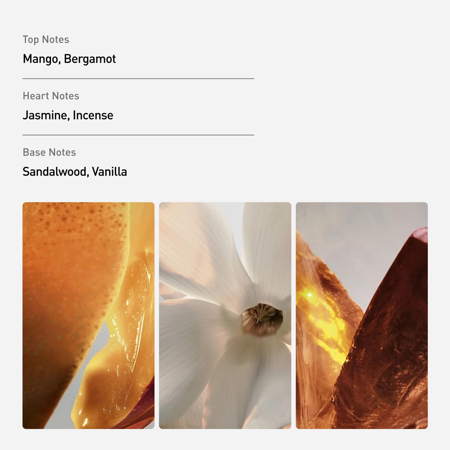 Paco Rabanne Fame Parfum Refillable For Women 2.7 oz - Thumbnail 2