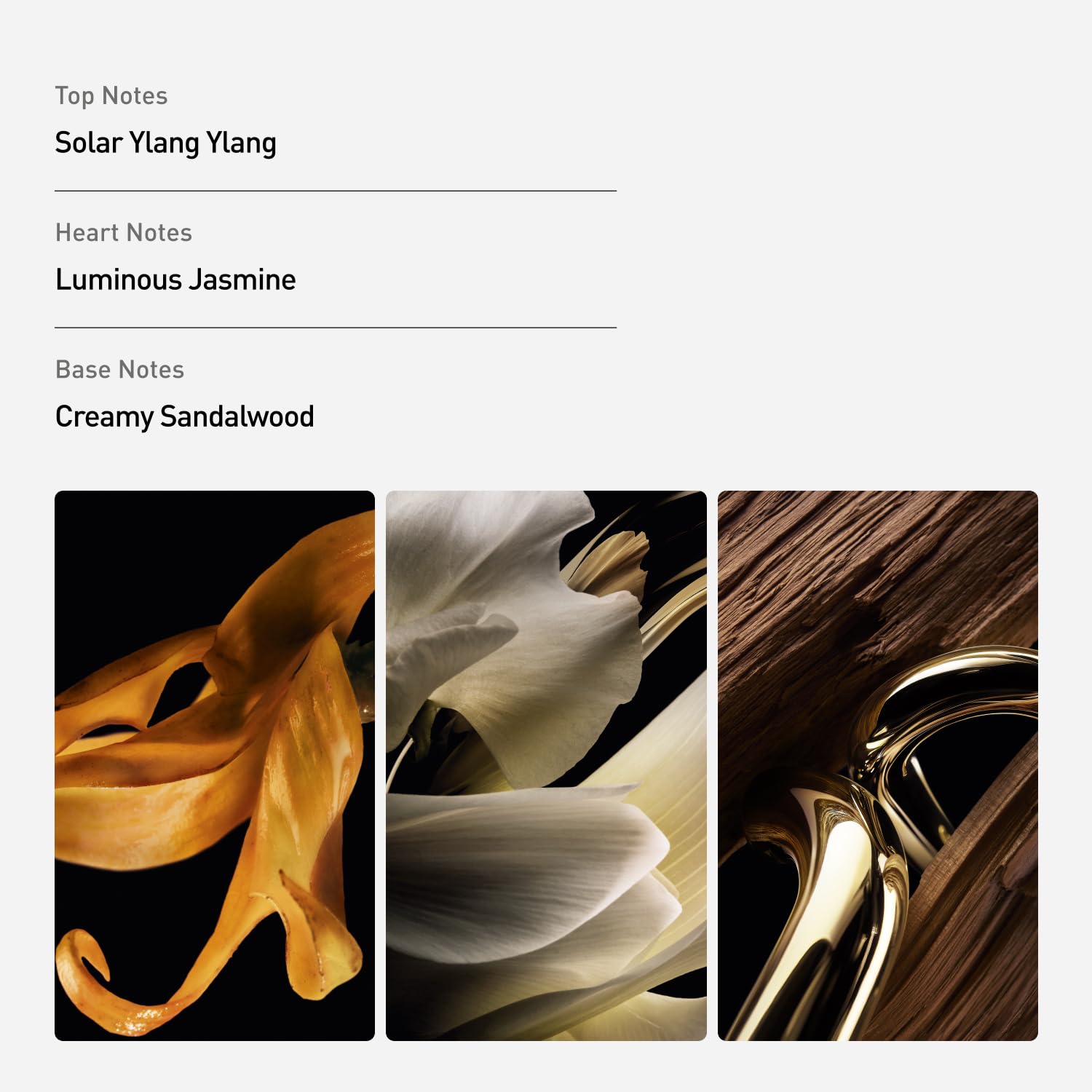 Rabanne Million Gold for Her Parfum Sensual Floral Woody With Jasmine Ylang - Thumbnail 2