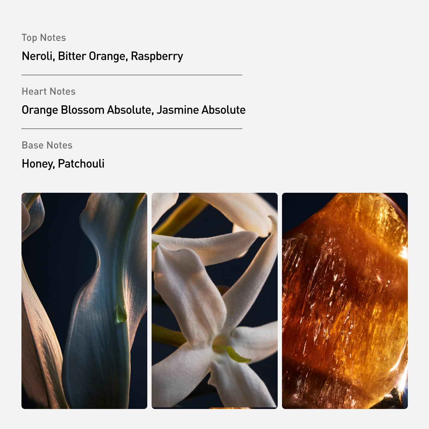 Rabanne Lady Million Floral Woody With Jasmine Honey Patchouli Designer For - Thumbnail 2