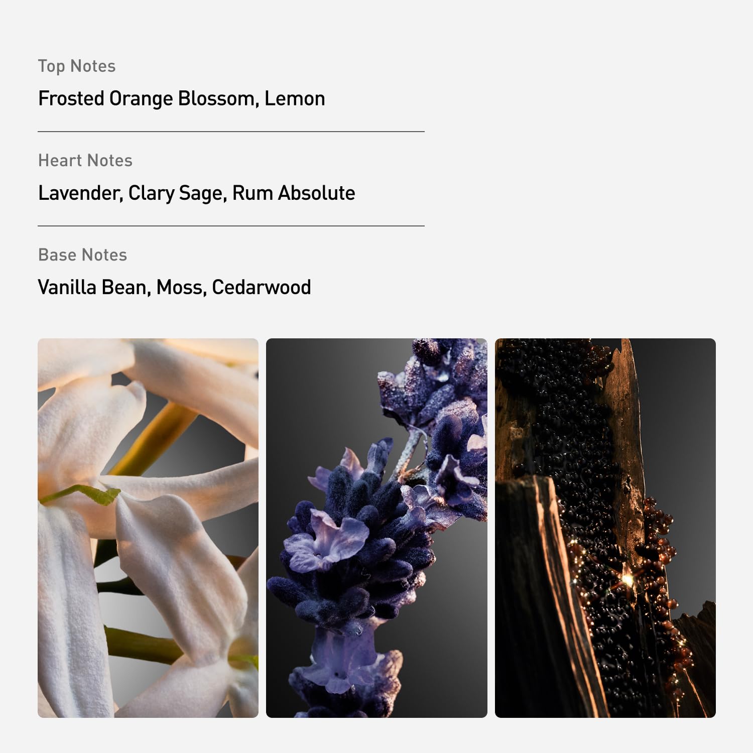 Rabanne Phantom Aromatic Ambery With Lavender Orange Blossom Vanilla Thrilling - Thumbnail 2