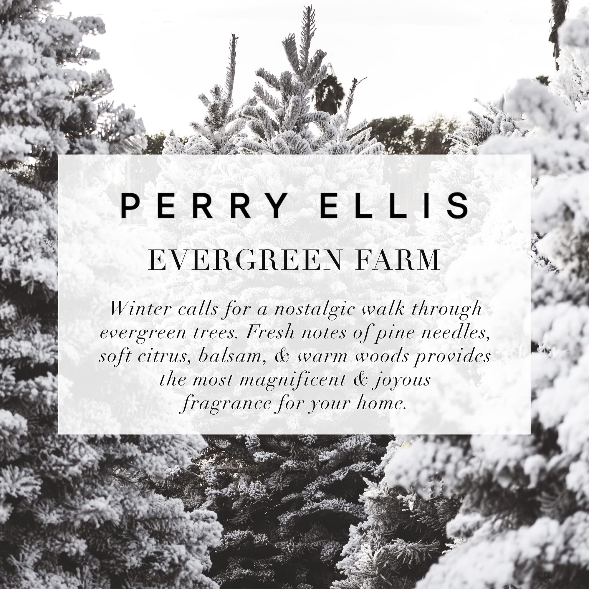 [Candles] Perry Ellis Evergreen Farm Candle 14.5 Usa 1pcs Bybox - Thumbnail 3