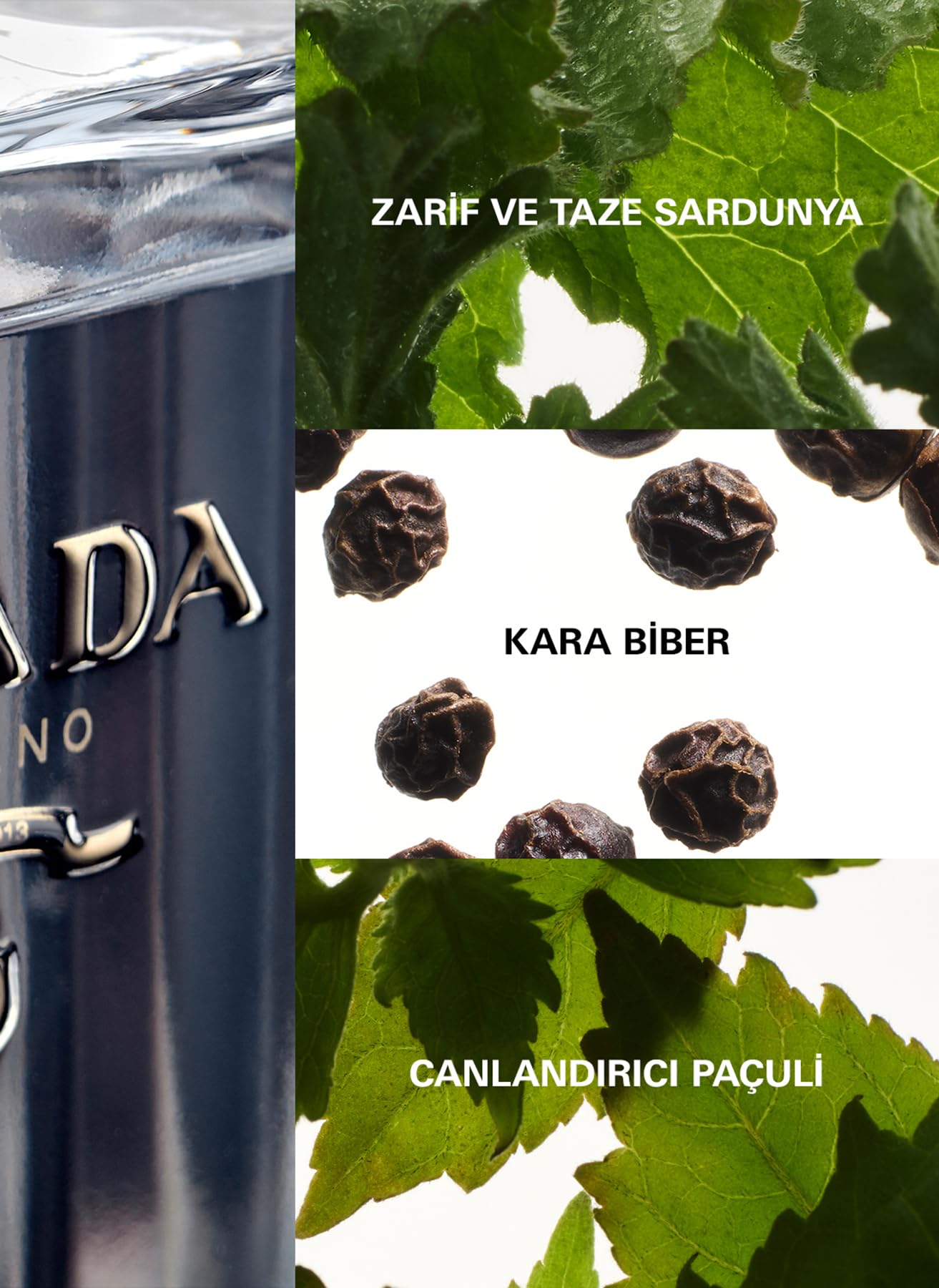 Prada L'homme 3.4 Fluid Ounce For Men EDT - Thumbnail 2