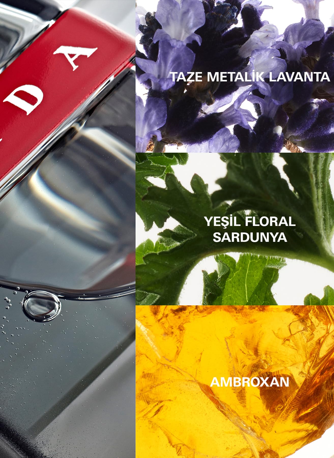 Prada Luna Rossa Carbon Multi EDT 100 ml (3.4 oz) - Thumbnail 2