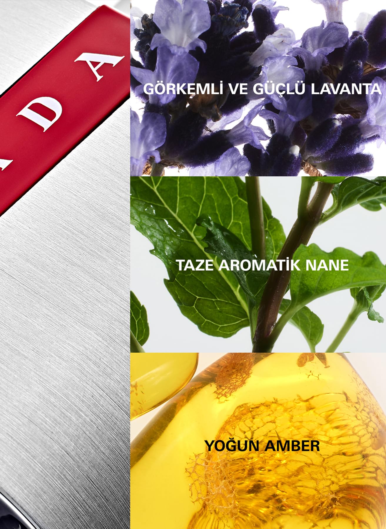 Prada Luna Rossa / EDT 50 ml (1.7 oz) - Thumbnail 2