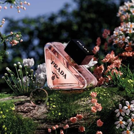[Set] Prada Paradoxe + EDP 50 ml - Thumbnail 3