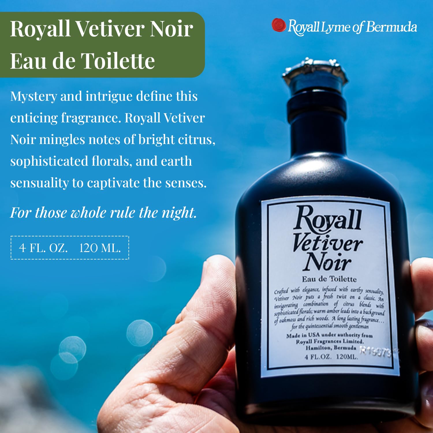 Royall Vetiver Noir Vetiver Amber For Men EDT 4 oz - Thumbnail 2