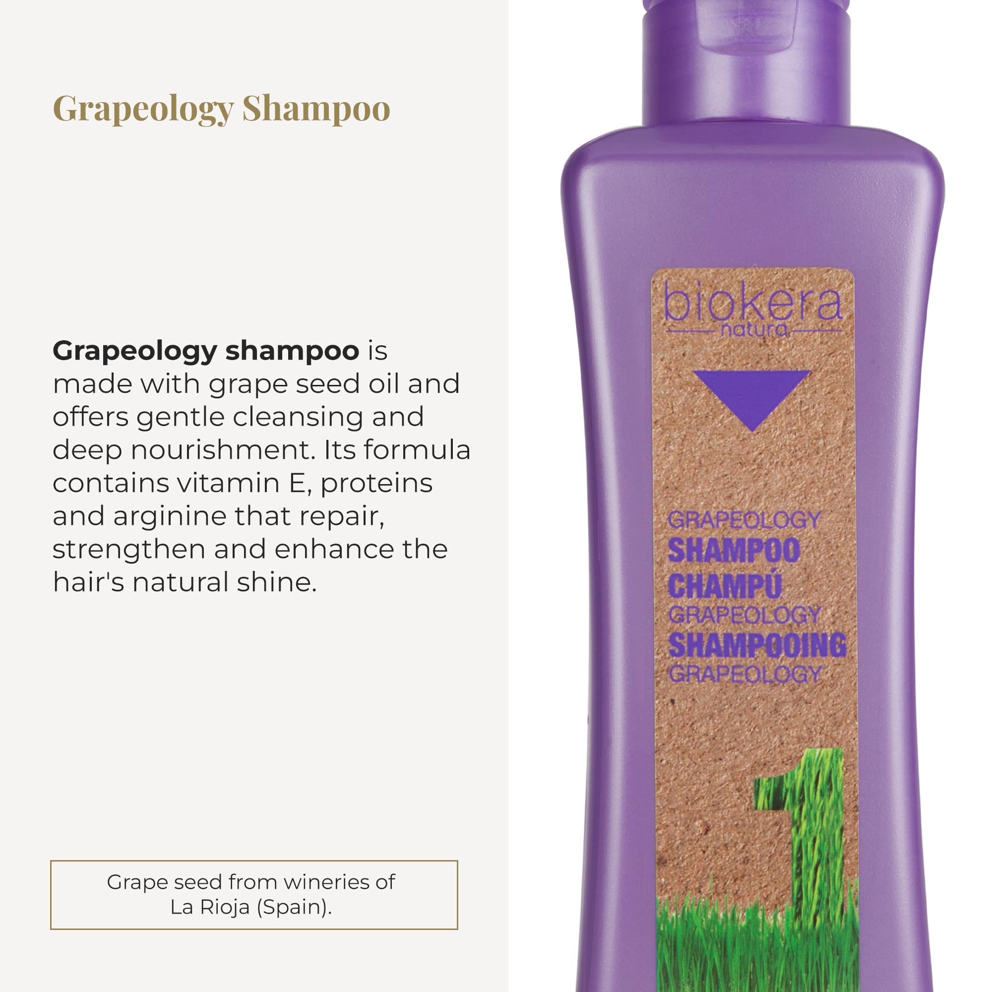 Salerm Shampoo for White or Bleached Hair Grapeology Biokera Natura Shampoo - Thumbnail 2