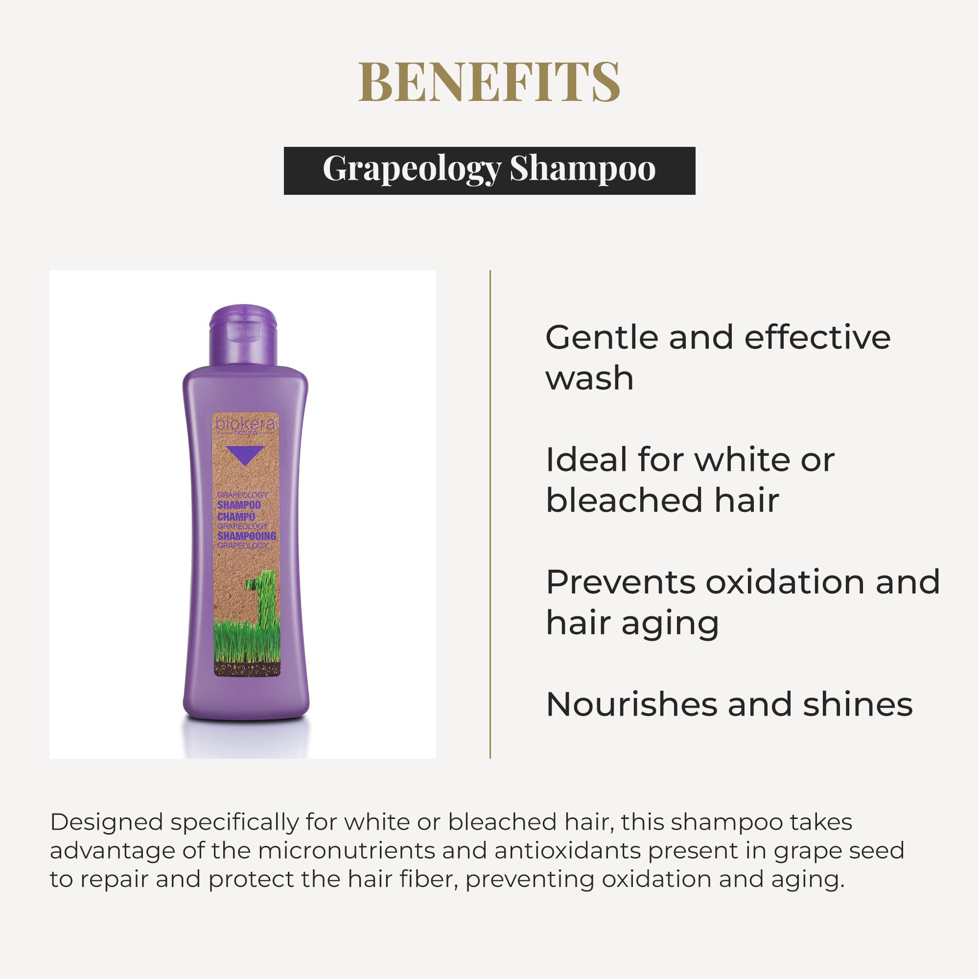 Salerm Shampoo for White or Bleached Hair Grapeology Biokera Natura Shampoo - Thumbnail 3