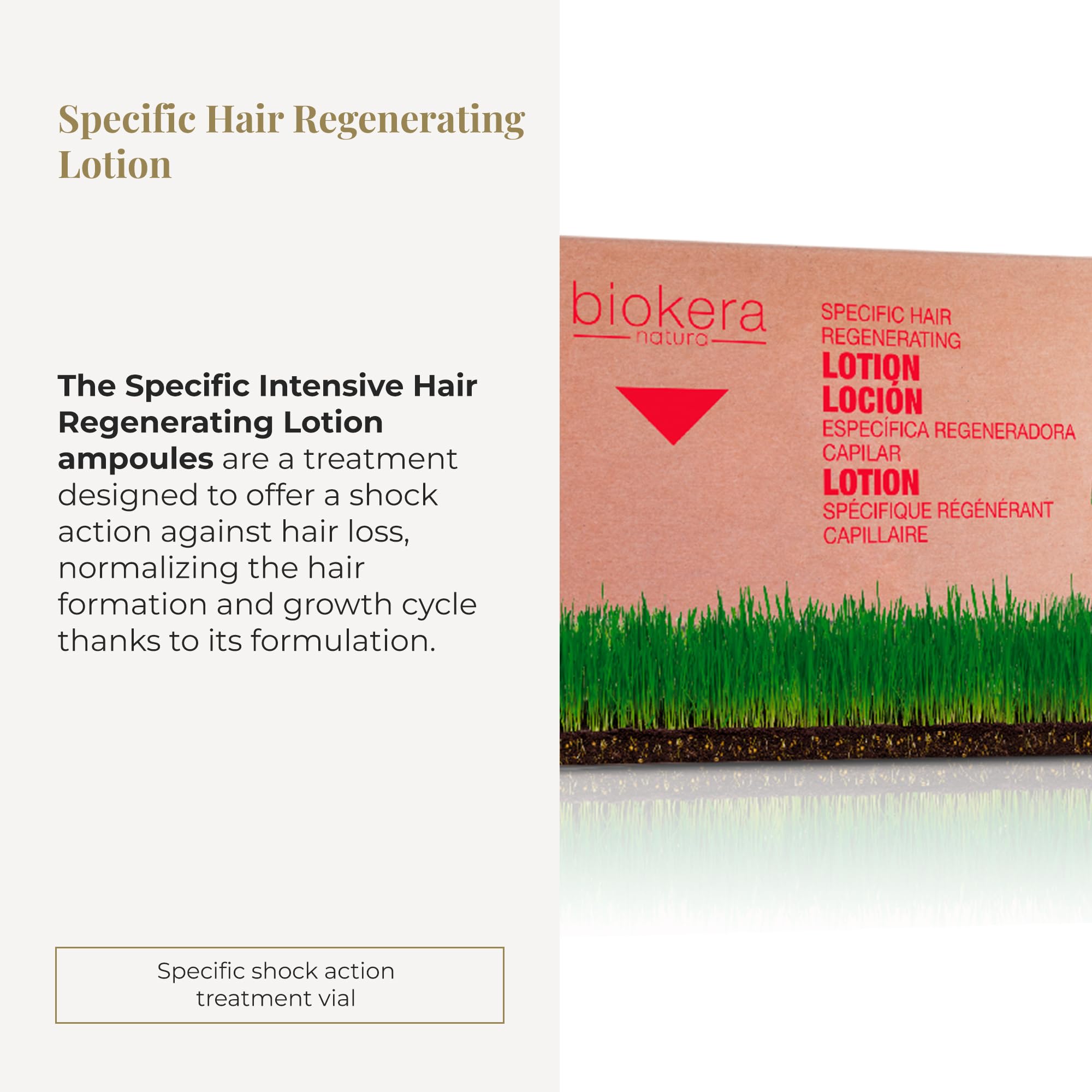 Salerm Intensive Scalp Serum Biokera Natura 6 X Fortifying Hair Treatment and - Thumbnail 2