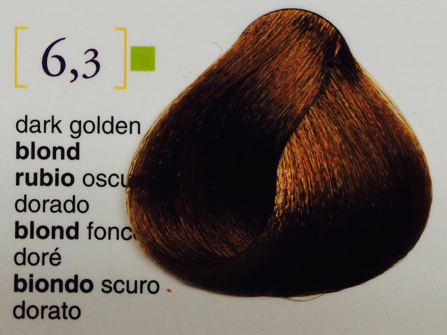 Salermvison Hair Coloring Cream #6.3 Dark Golden Blonde 2.3 oz