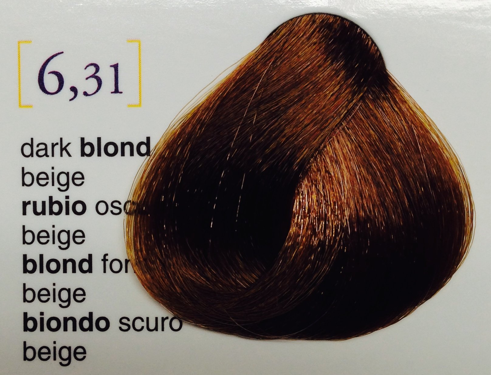 Salerm Salermvison Hair Coloring Cream #6 31 Dark Blonde Beige for Unisex