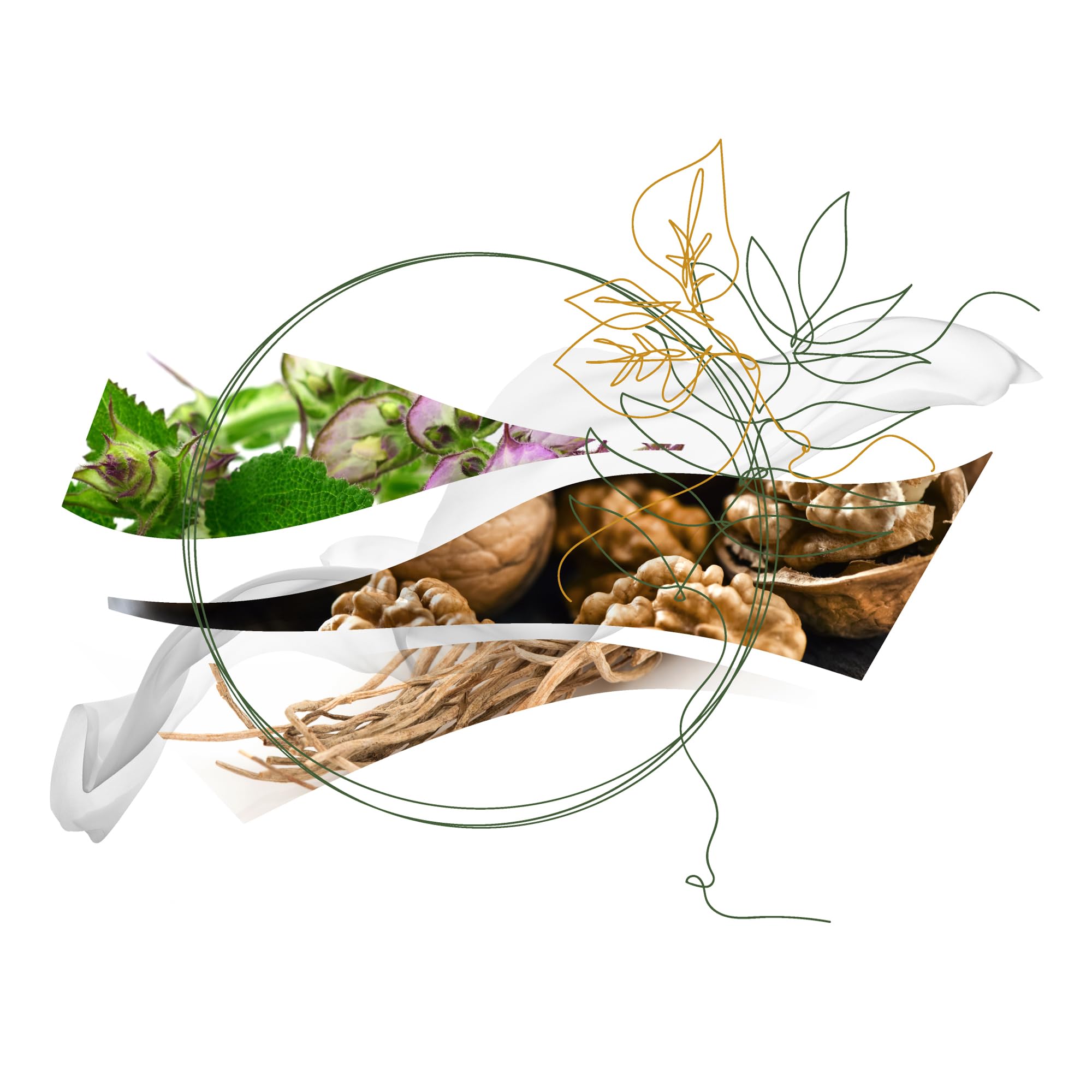 Foreste Di Seta Genderless 3.4 Fl. Oz. EDP (Set) - Thumbnail 2