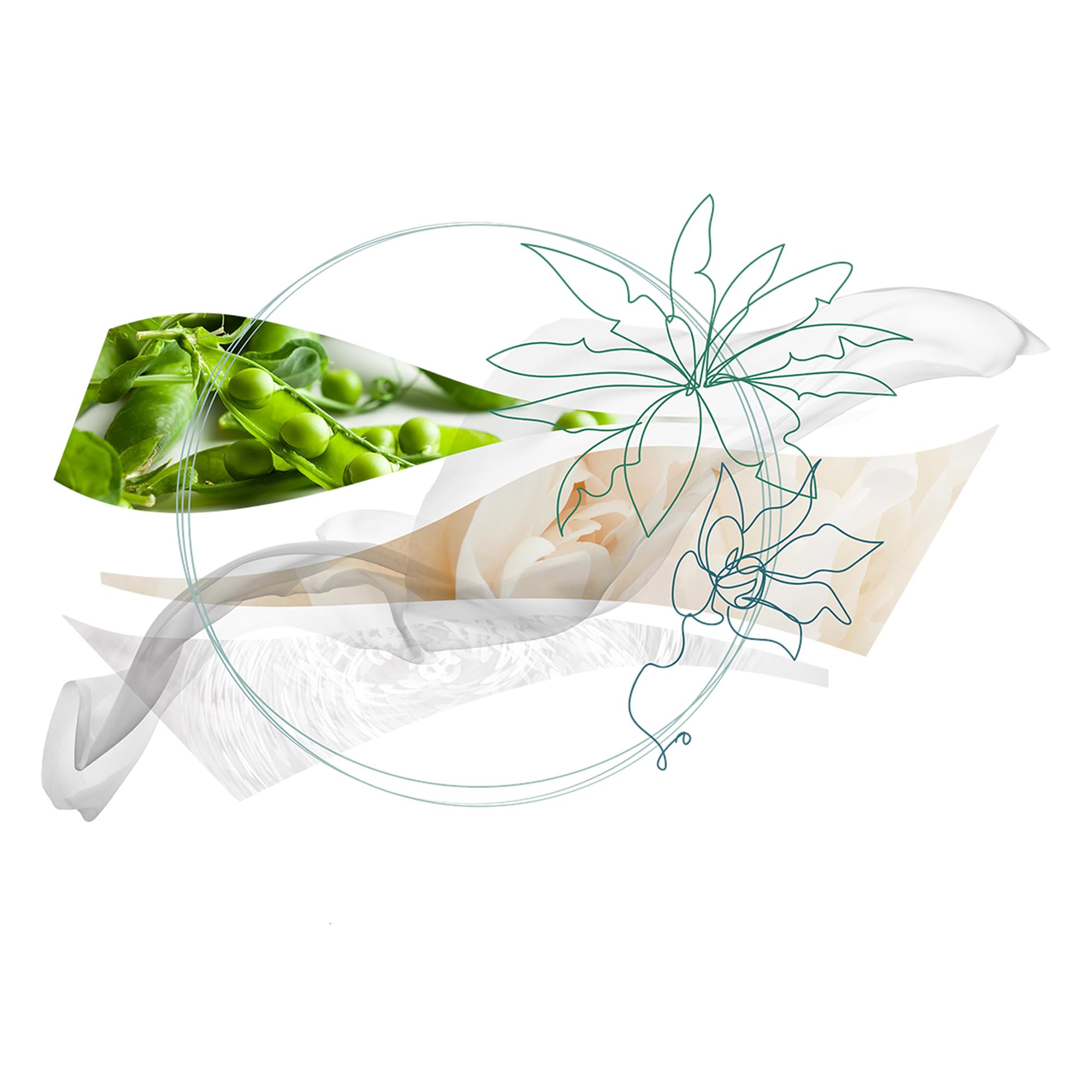 Giungle Di Seta Genderless 3.4 Fl. Oz. EDP (Set) - Thumbnail 2