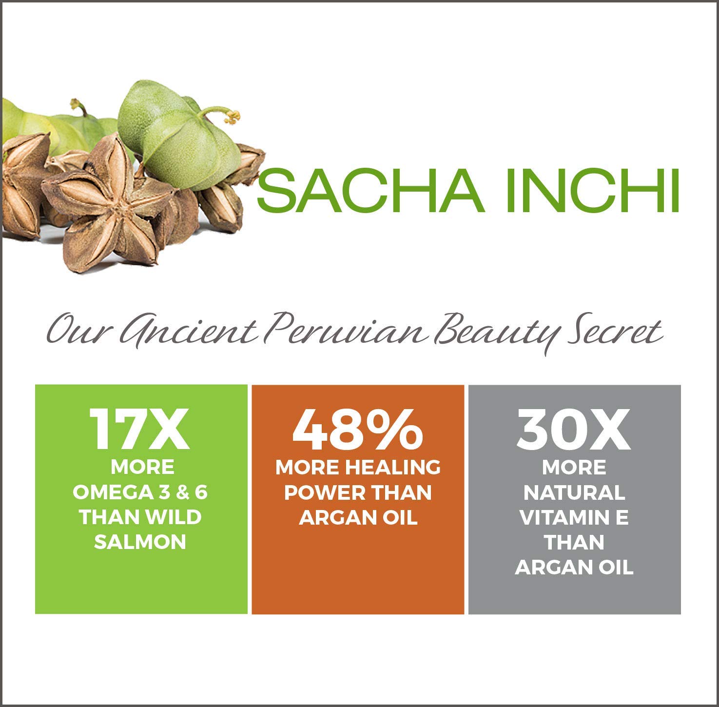 Sashapure Healing Conditioner With Sacha Inchi Oil Sulfate Free Color Safe - Thumbnail 3