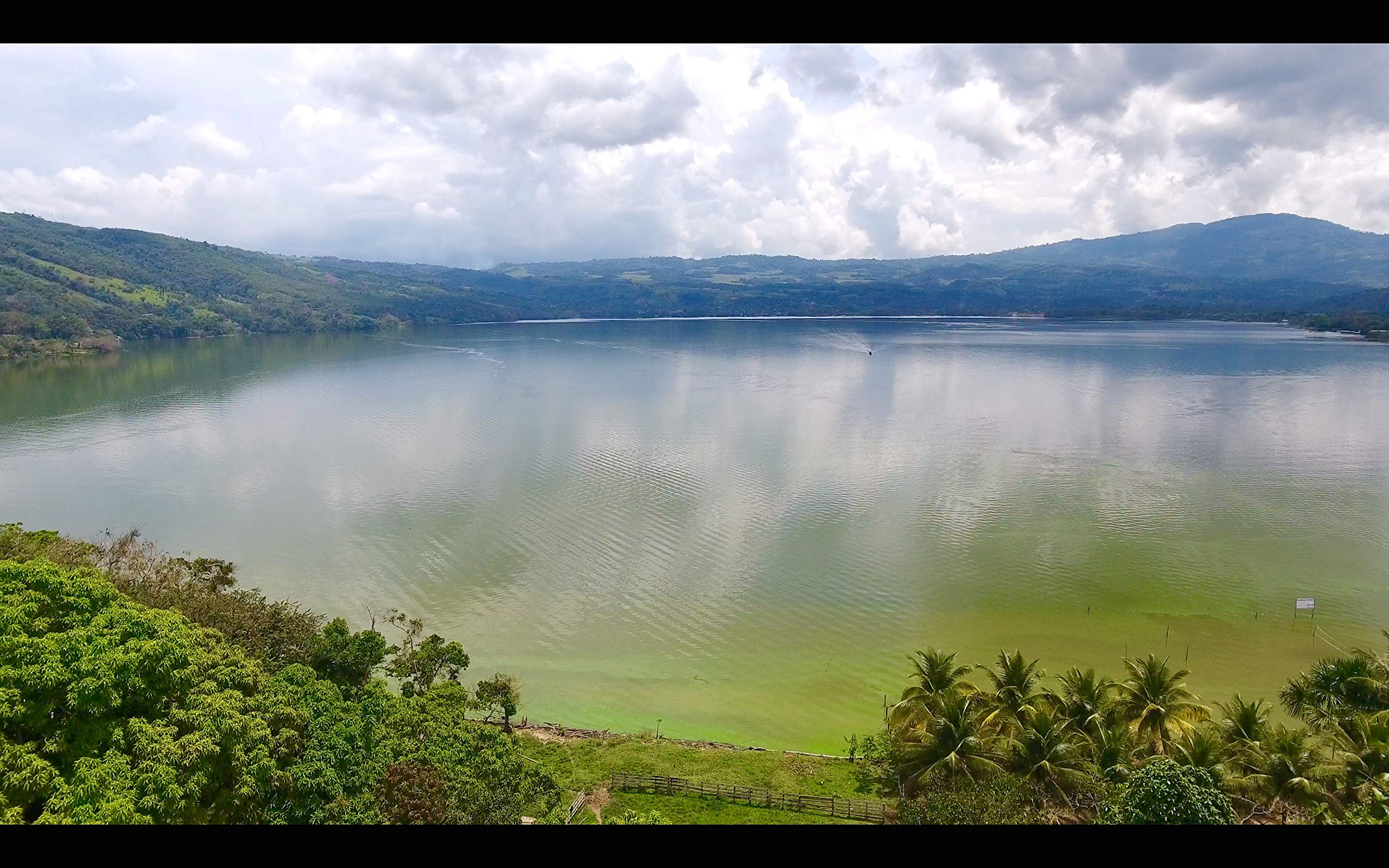 Sashapure Hr/sclp/skn Elix 1.7 oz