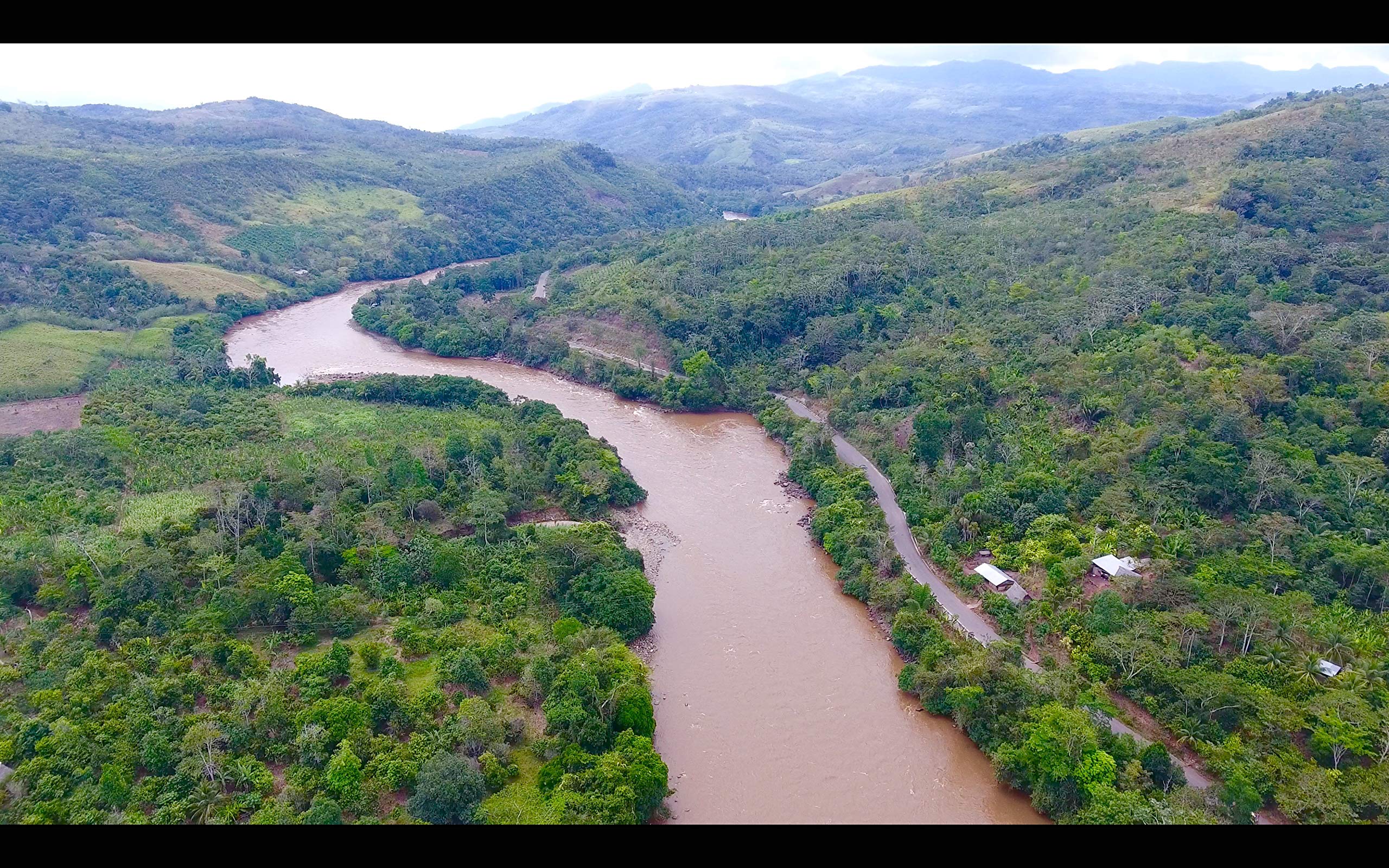 Sashapure Smoothing Shine Hair Treatment With Sacha Inchi Oil Eliminates Frizz