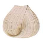 Developlus Satin Color #10g Ultra Light Gold Blonde 88 ml (3 oz)