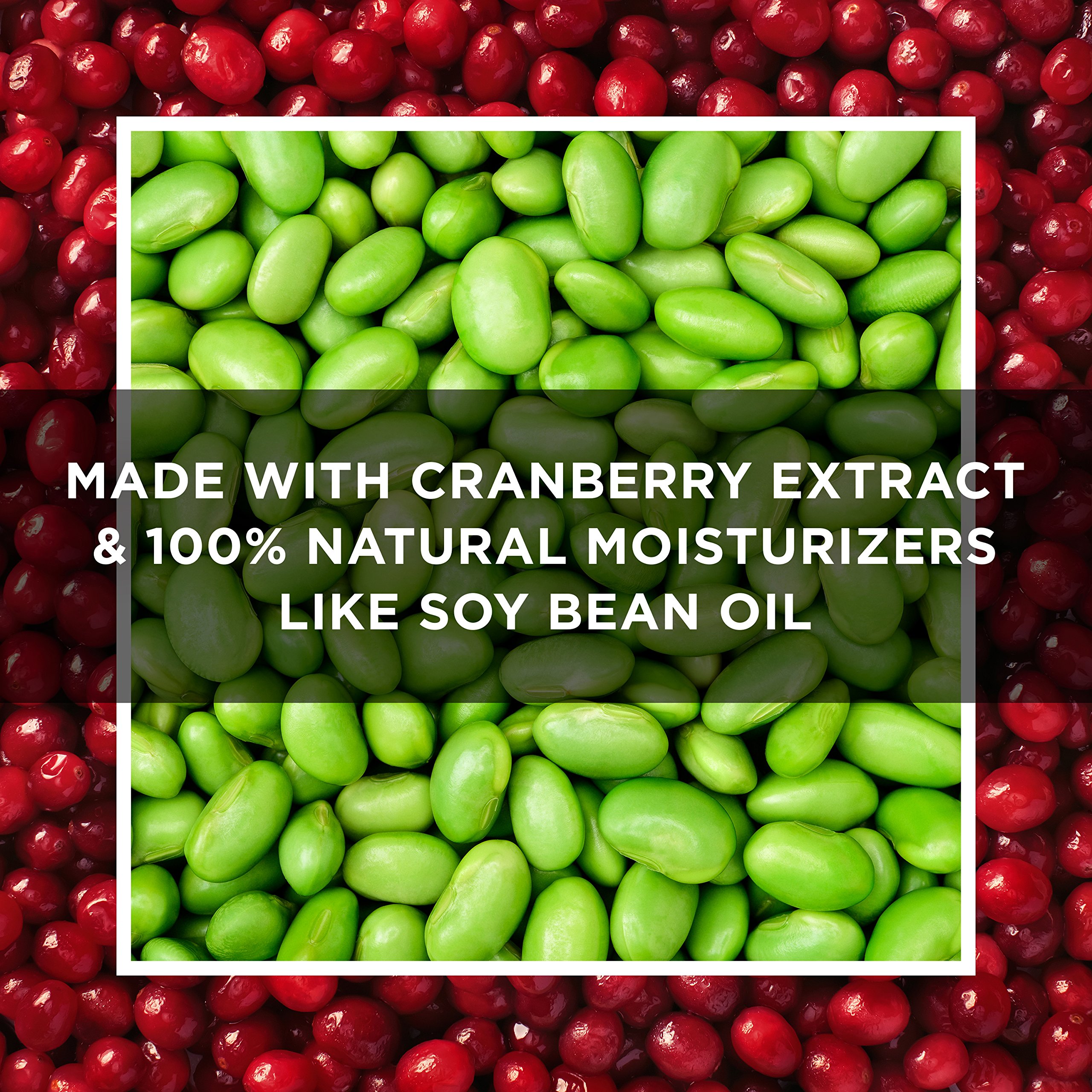 St. Ives Intensive Healing Body Lotion Cranberry and Grapeseed Oil 21 oz - Thumbnail 2