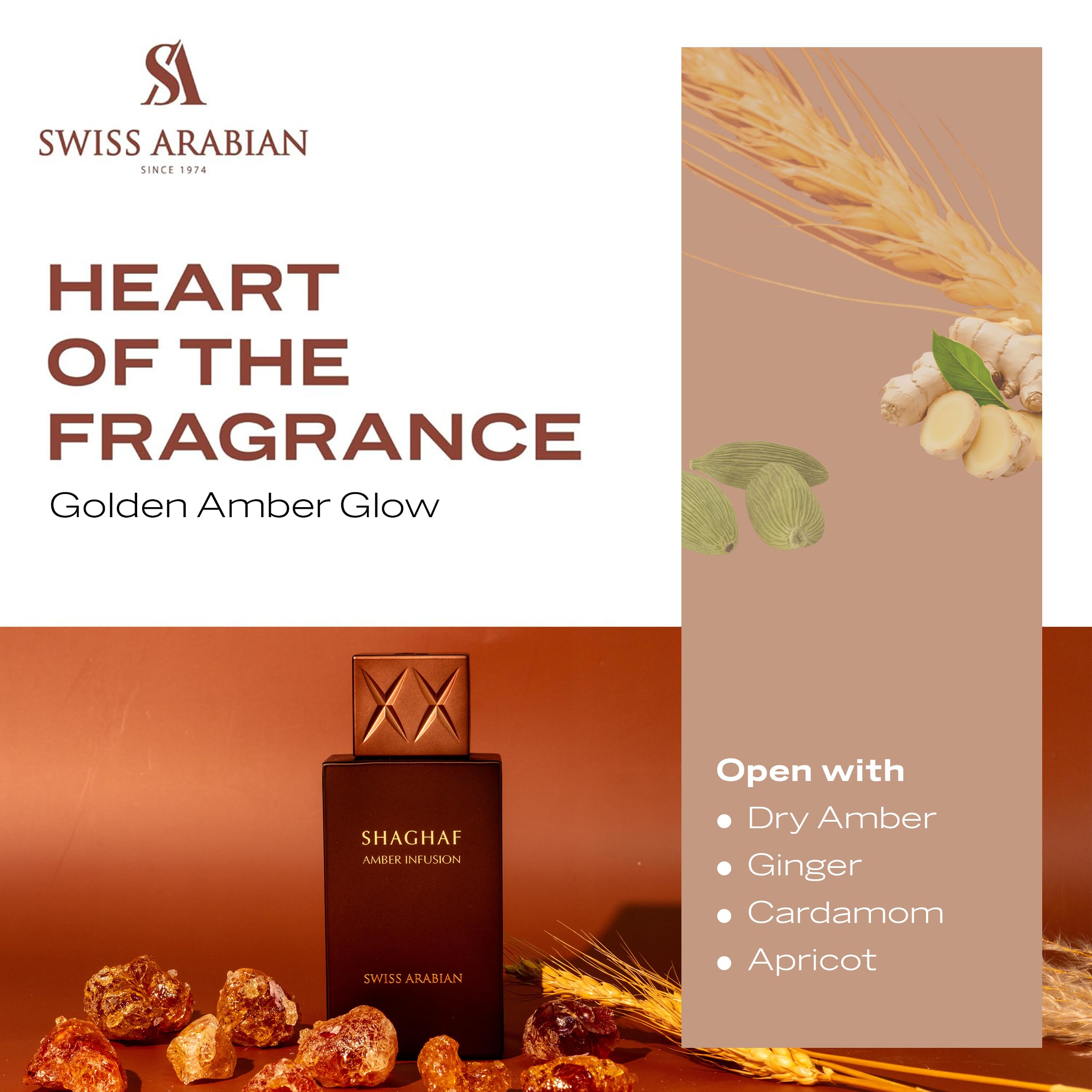 Swiss Shaghaf Amber Infusion 2.5 Extrait de Parfum U United Arab Emir. 36pcs - Thumbnail 2