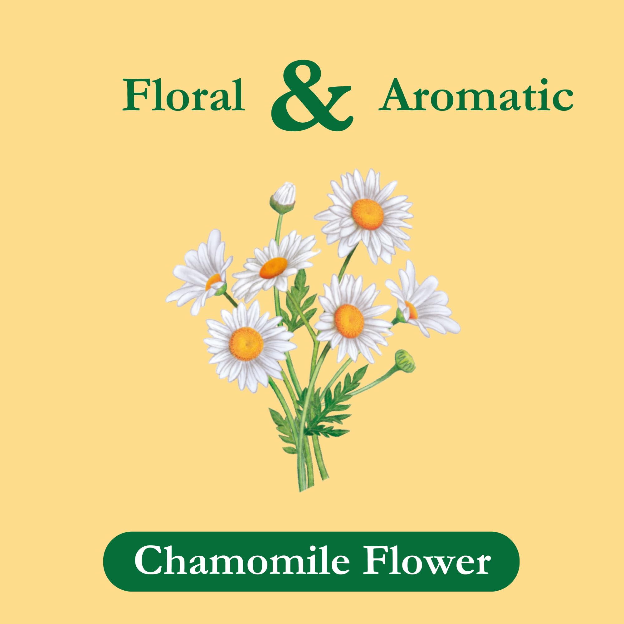 Tadin Chamomile Tea Herbal Tea Caffeine Free 24 Tea Bags Per Box Pack of 1 - Thumbnail 3