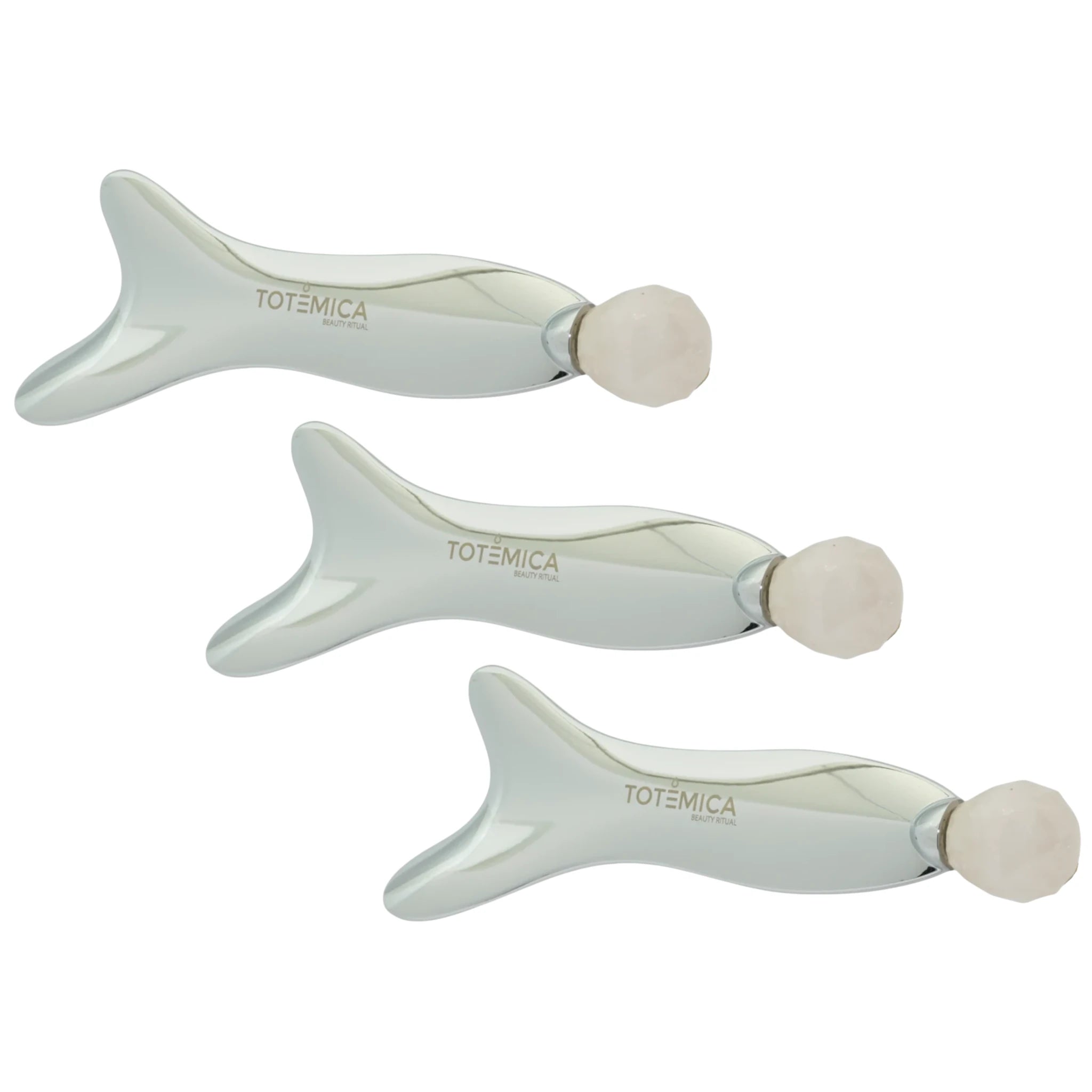 (3-pack) Totemica Fish-Shaped Scraping Plate