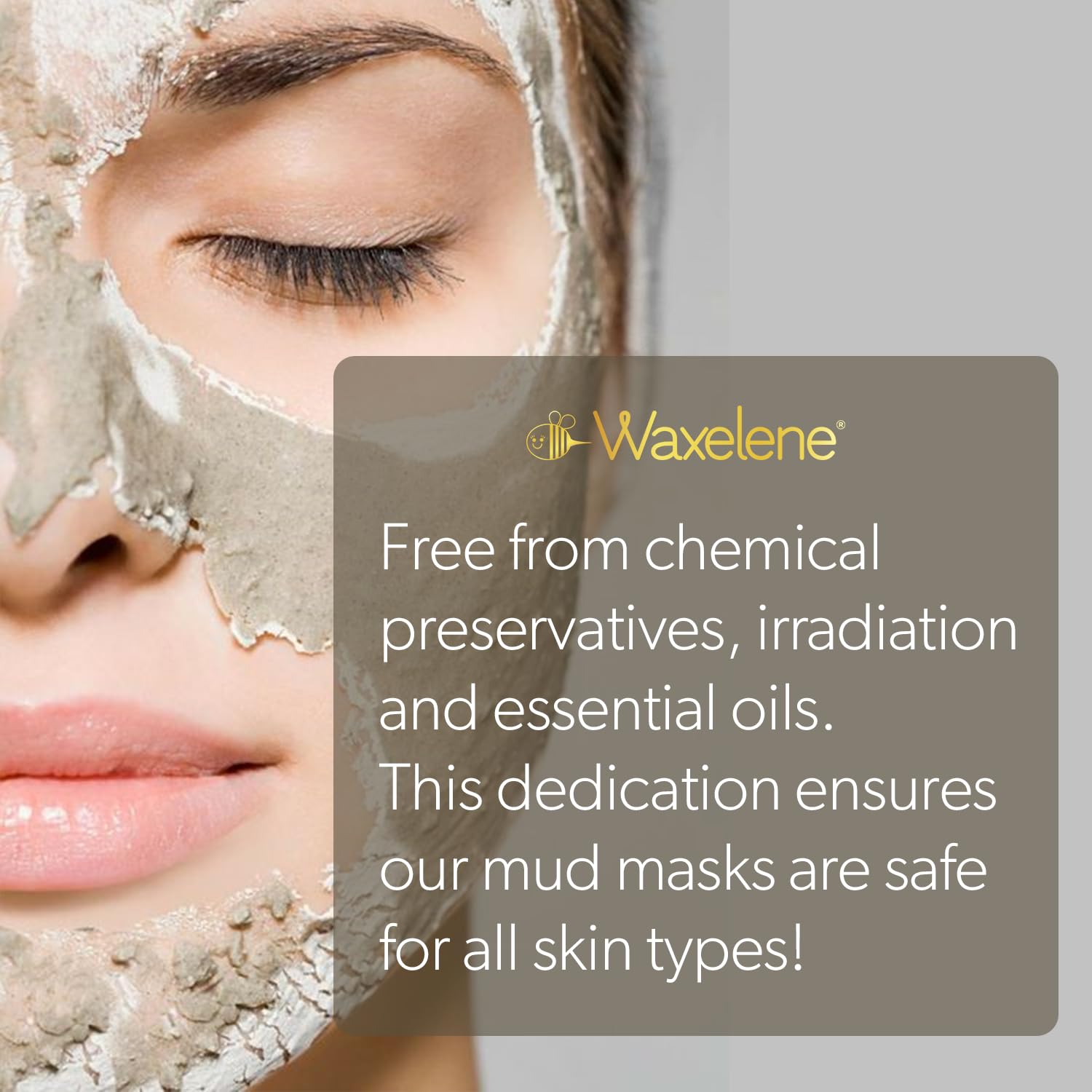 Waxelene Clarifying Mud Mask Dry Blend Wrinkle Fighting Ritual Cleans Pores