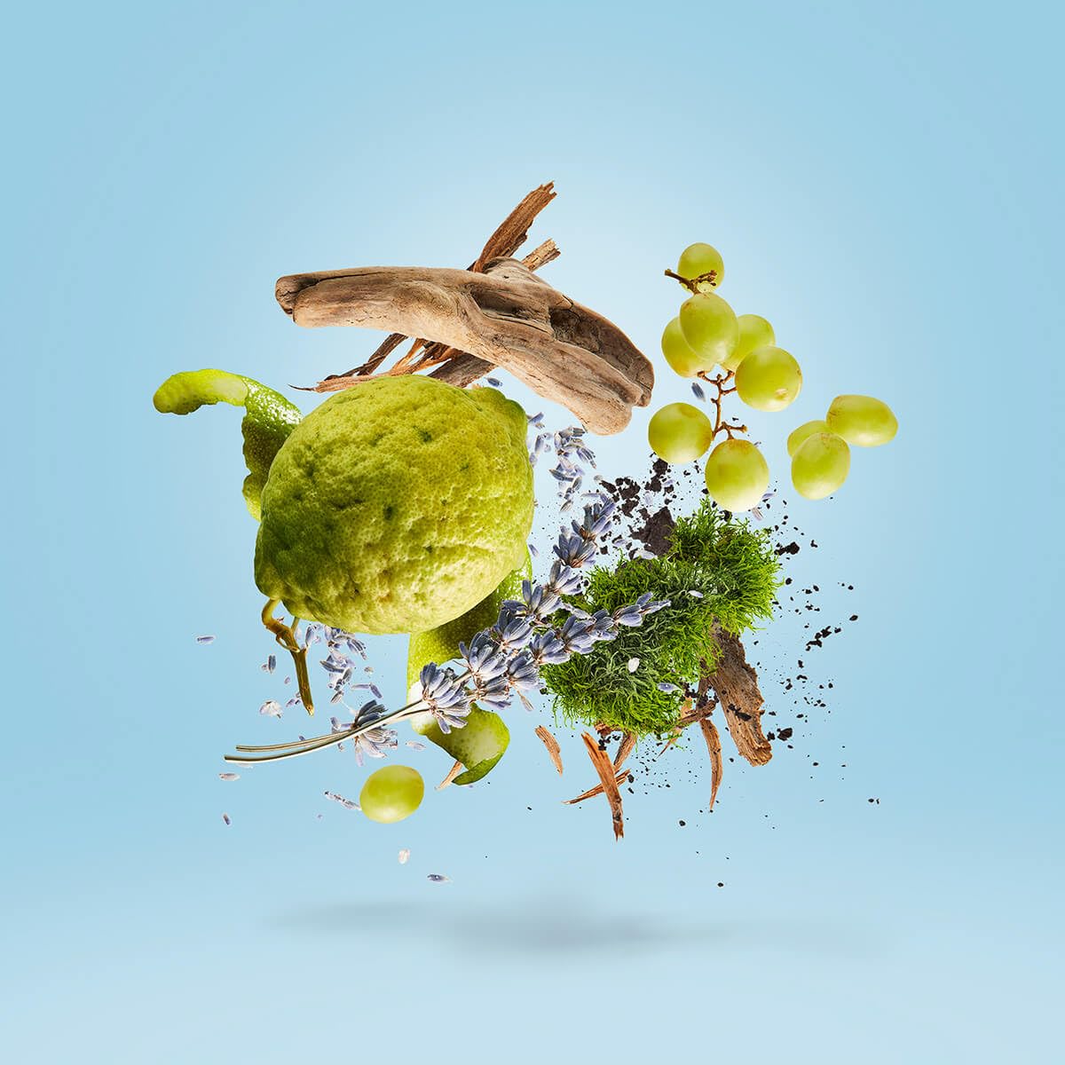 Xerjoff Casamorati Mefisto Gentiluomo Fragrances 8033488158057 For Men EDP 3.4 - Thumbnail 3