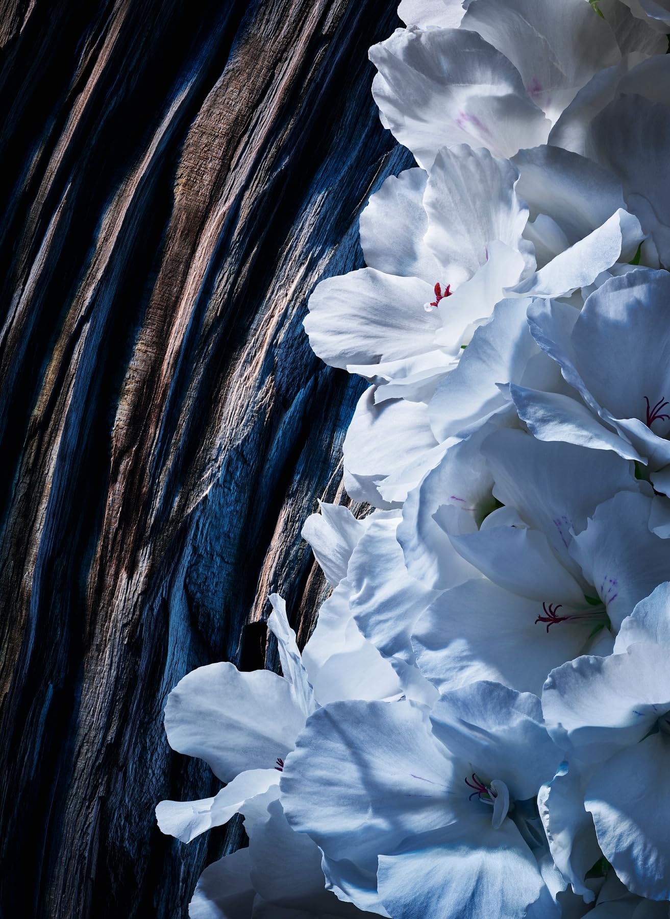 Y Lelixir Concentre By Yves Saint Laurent Parfum For Men 2 oz - Thumbnail 2